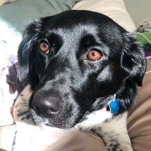 Meet your Posher, Gina